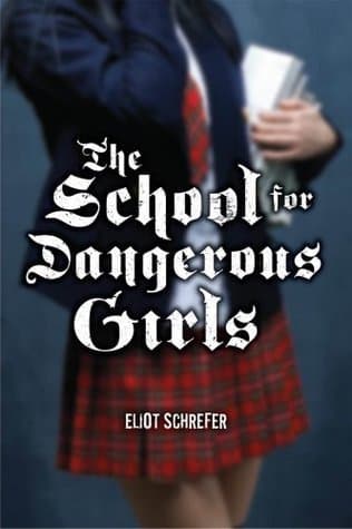 The School for Dangerous Girls book cover