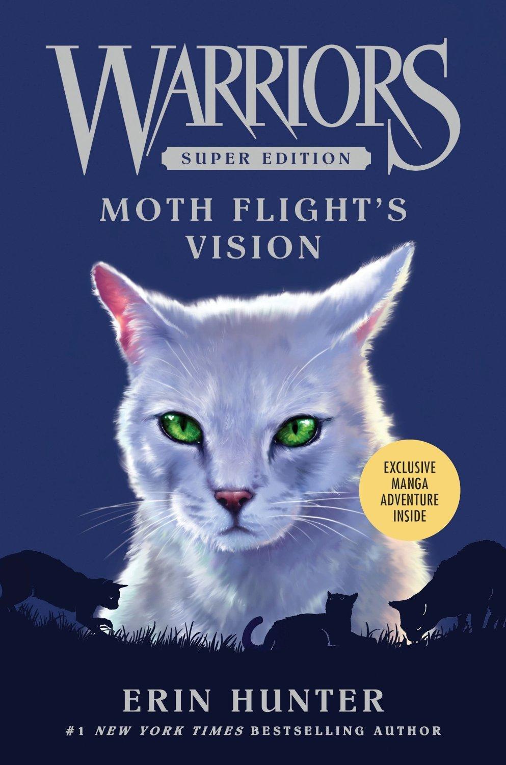 Moth Flight's Vision book cover