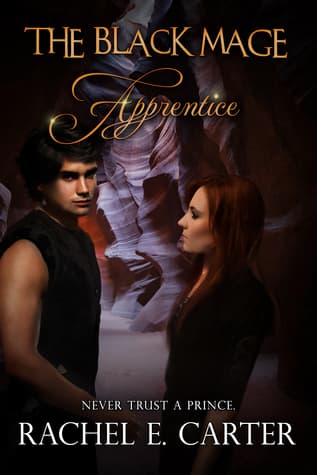 Apprentice book cover