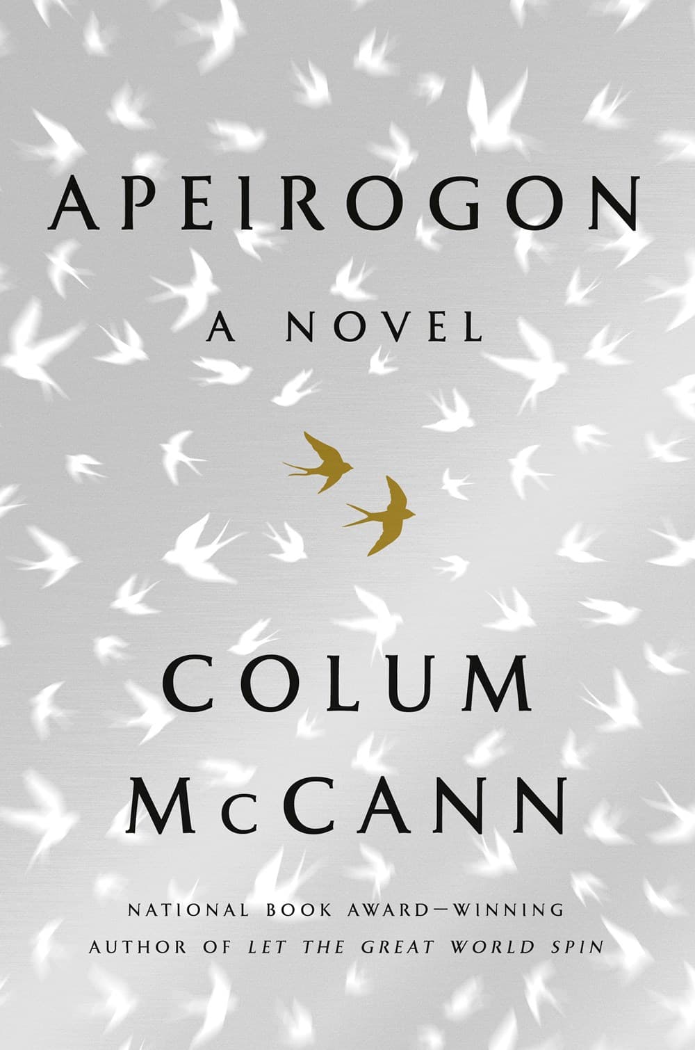 Apeirogon book cover