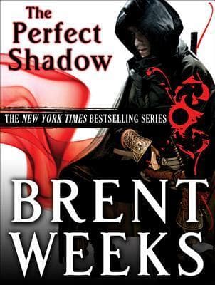 Perfect Shadow book cover