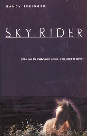 Sky Rider book cover