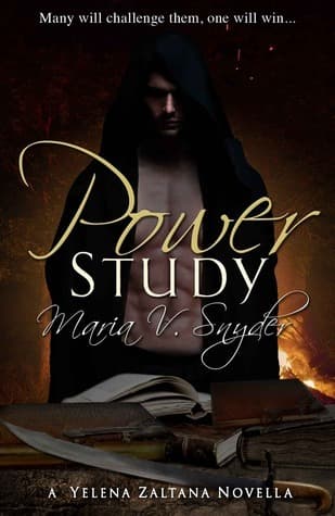 Power Study book cover