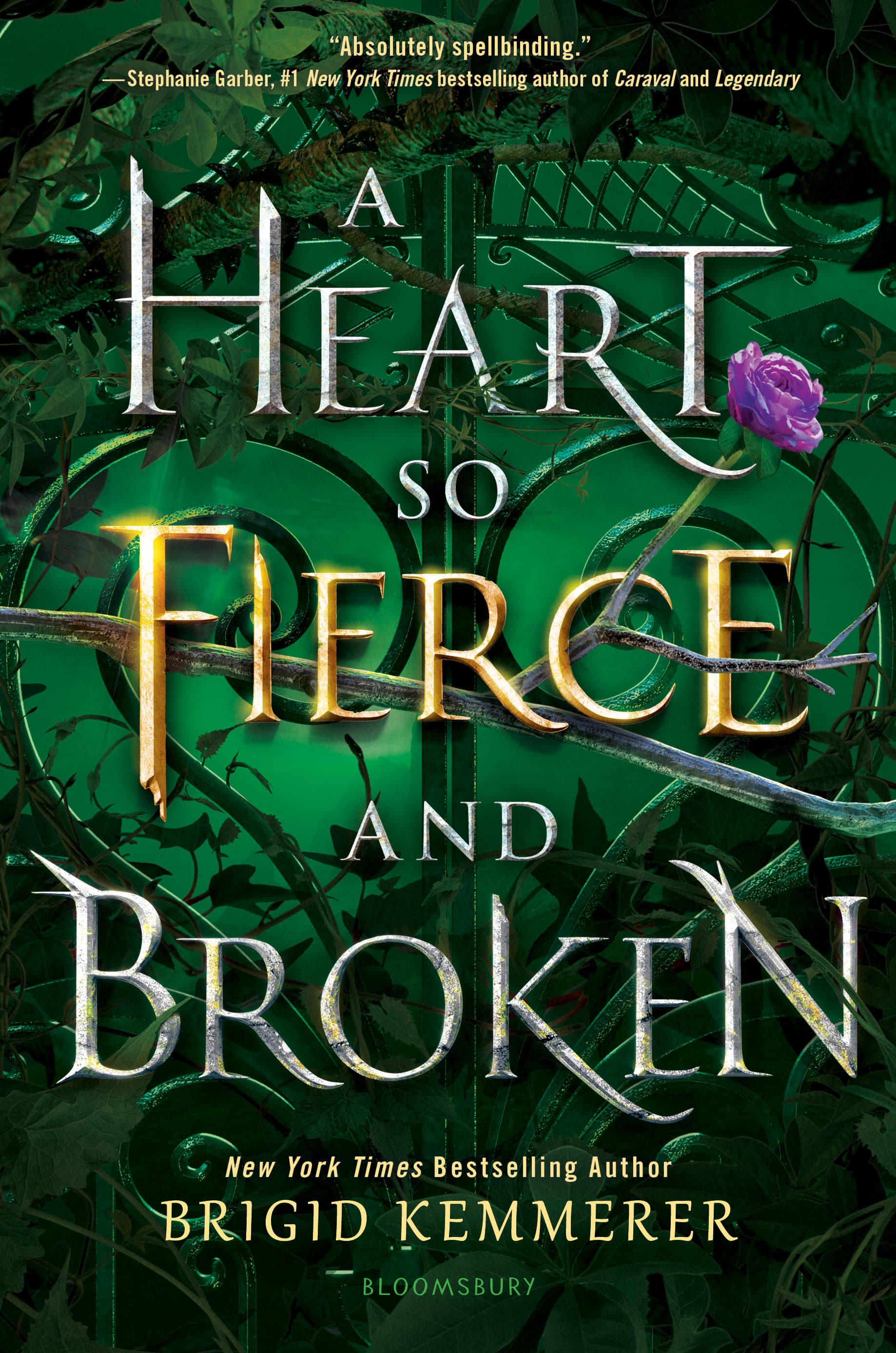 A Heart So Fierce and Broken book cover
