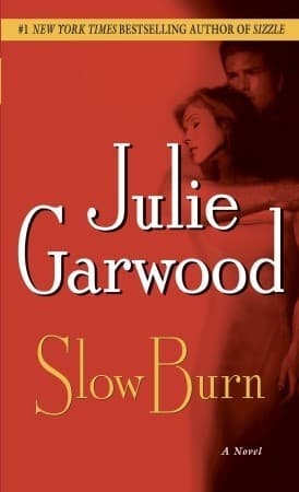 Slow Burn book cover