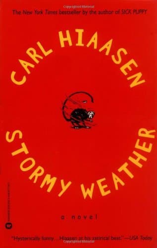 Stormy Weather book cover