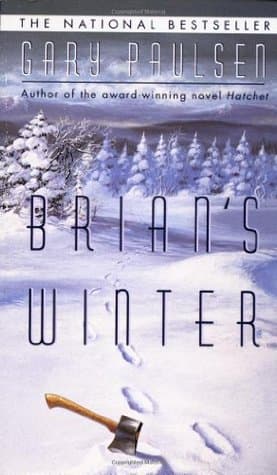 Brian's Winter book cover