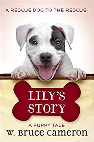 Lily's Story book cover