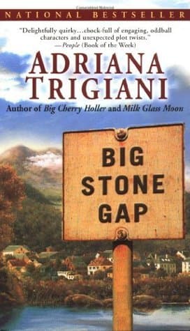 Big Stone Gap book cover