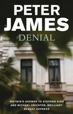 Denial book cover