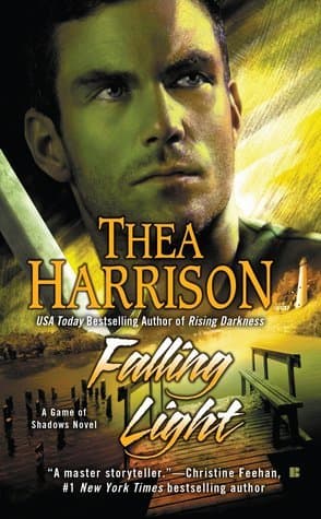 Falling Light book cover
