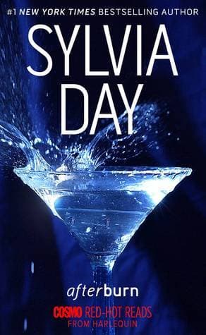 Afterburn book cover