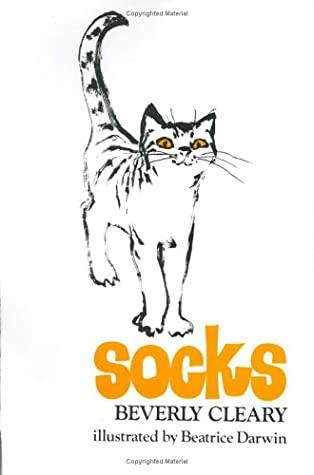 Socks book cover