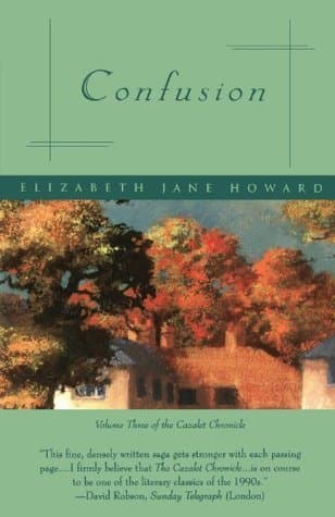 Confusion book cover