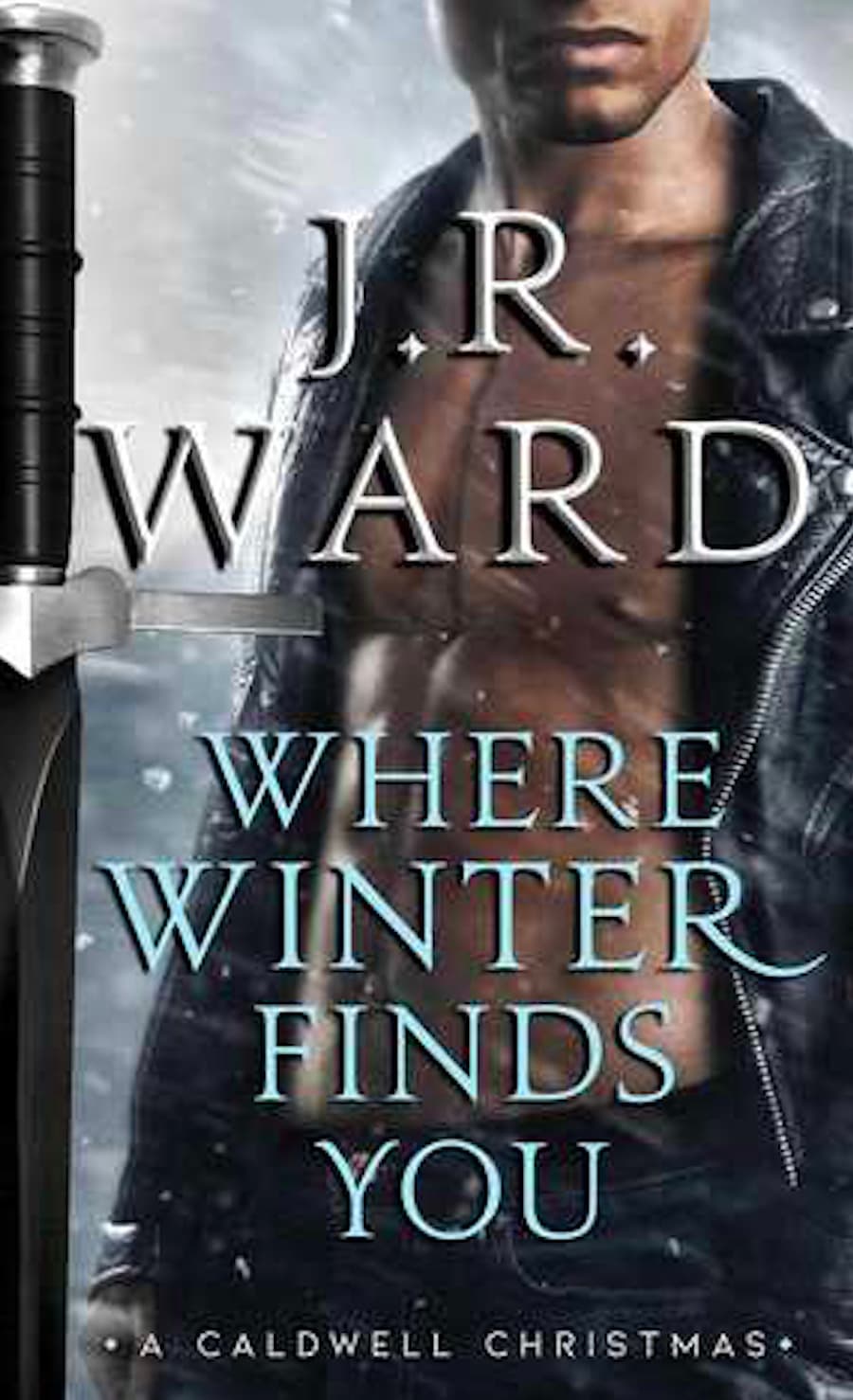 Where Winter Finds You book cover