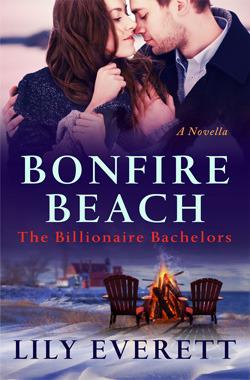 Bonfire Beach book cover