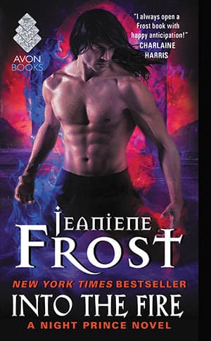 Into the Fire book cover
