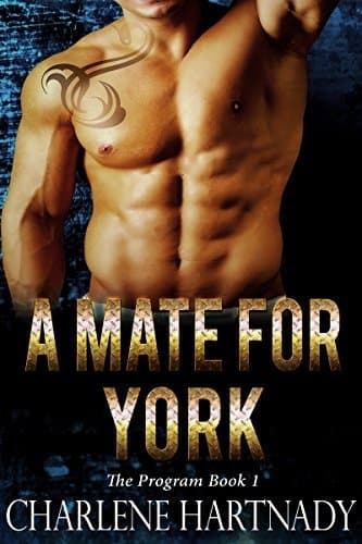 A Mate for York book cover
