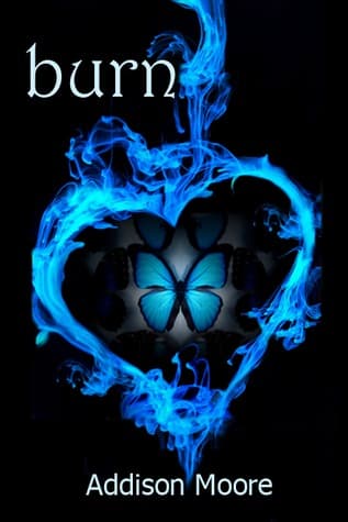 Series Book Cover Preview
