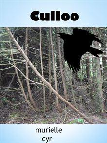 Culloo book cover