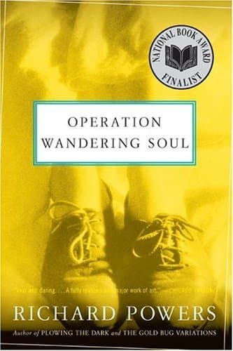 Operation Wandering Soul book cover