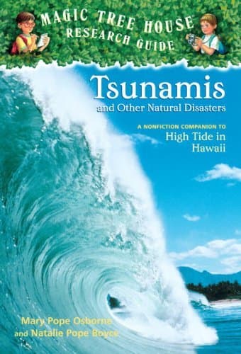 Tsunamis and Other Natural Disasters book cover