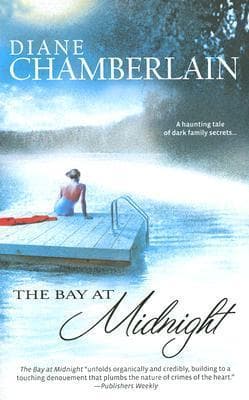 The Bay At Midnight book cover