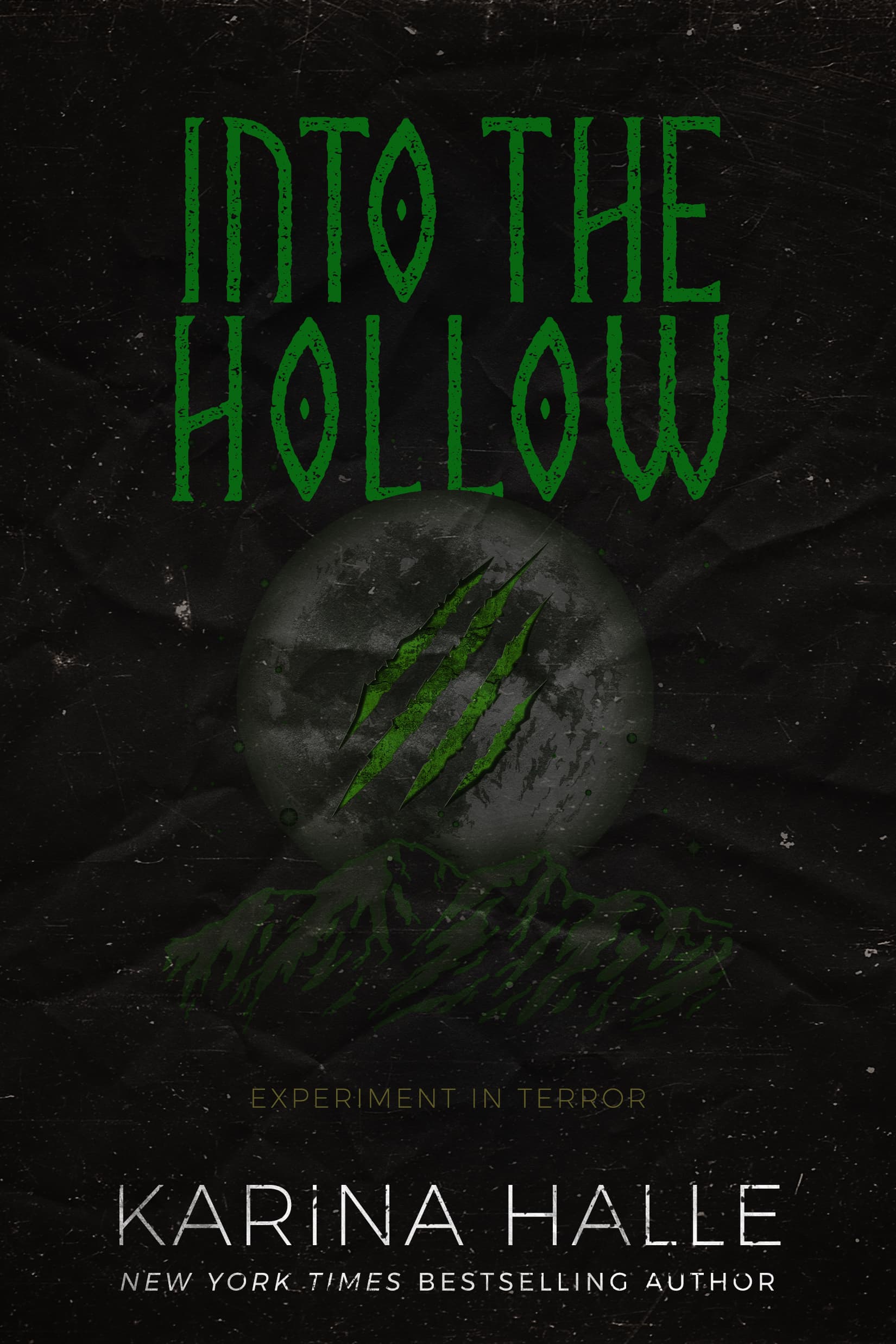 Into the Hollow book cover