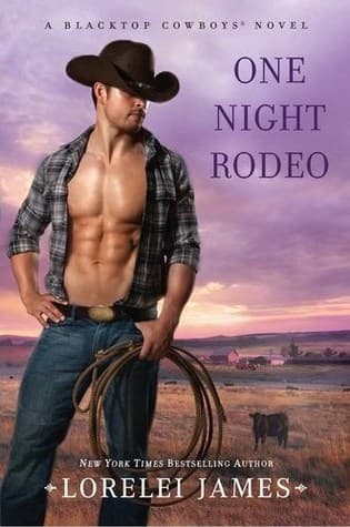 One Night Rodeo book cover