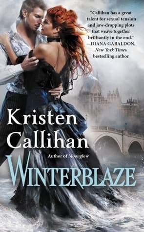 Winterblaze book cover