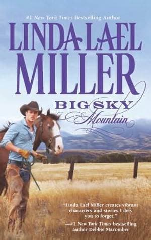Big Sky Mountain book cover