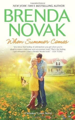 When Summer Comes book cover
