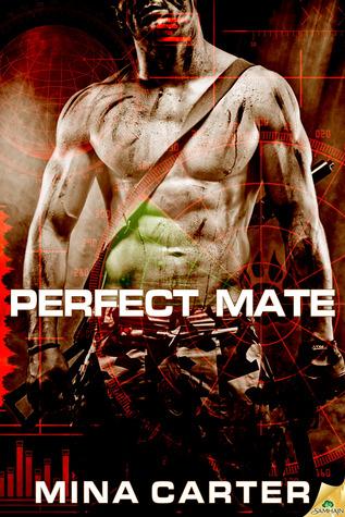 Perfect Mate book cover