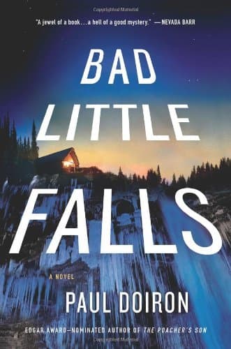 Bad Little Falls book cover