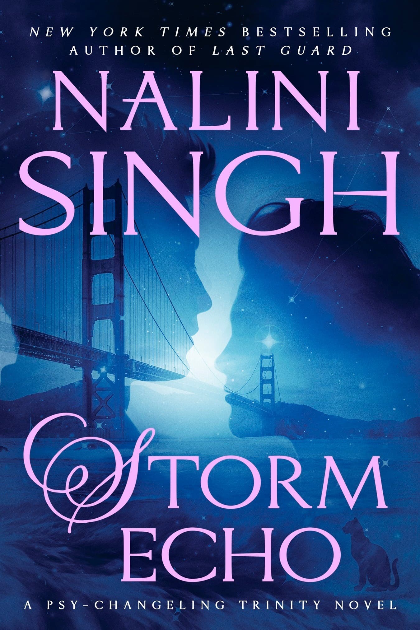 Storm Echo book cover
