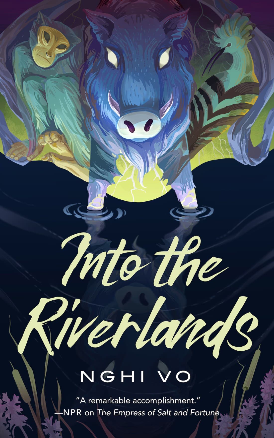 Into the Riverlands book cover