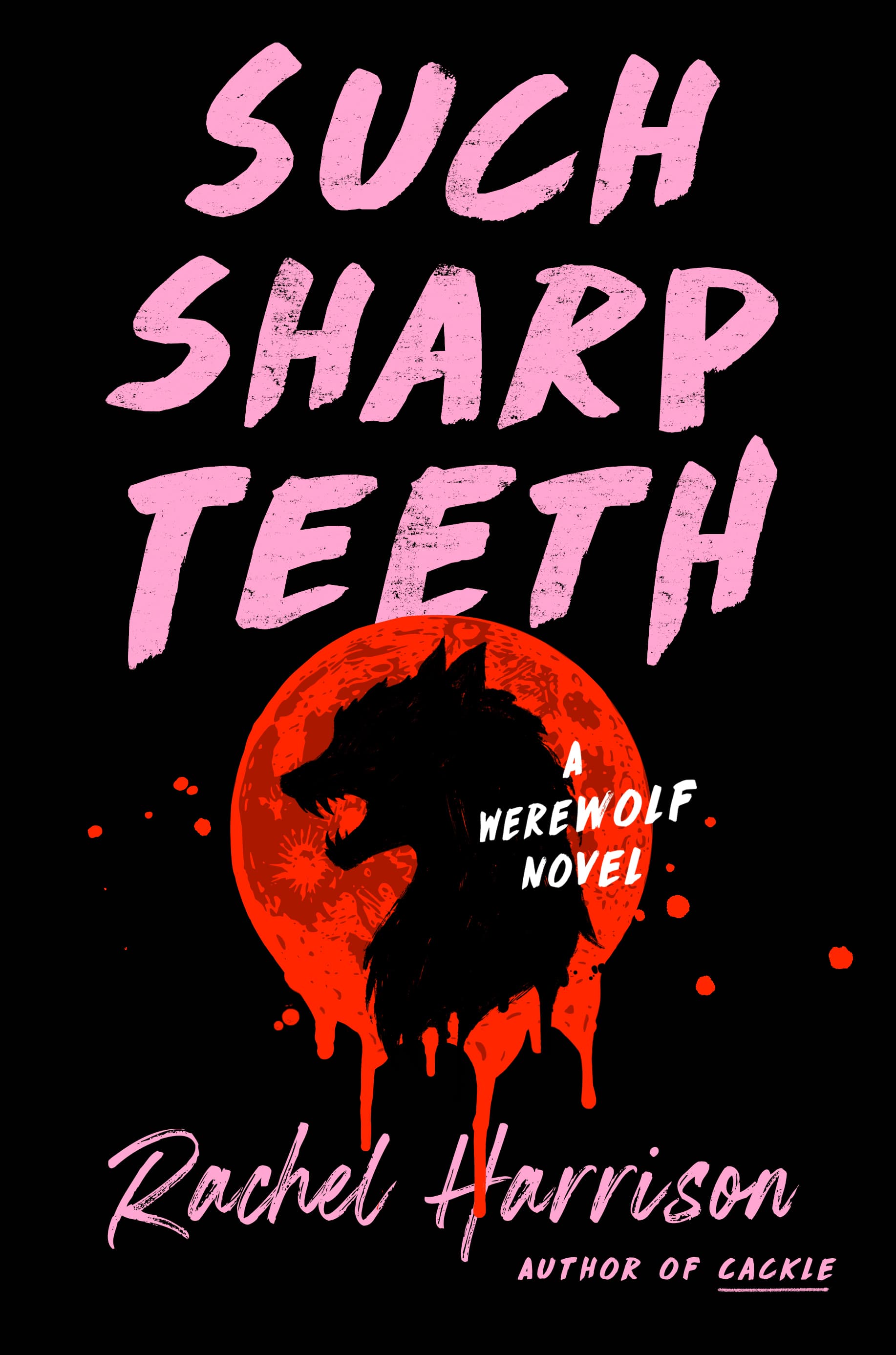 Such Sharp Teeth book cover