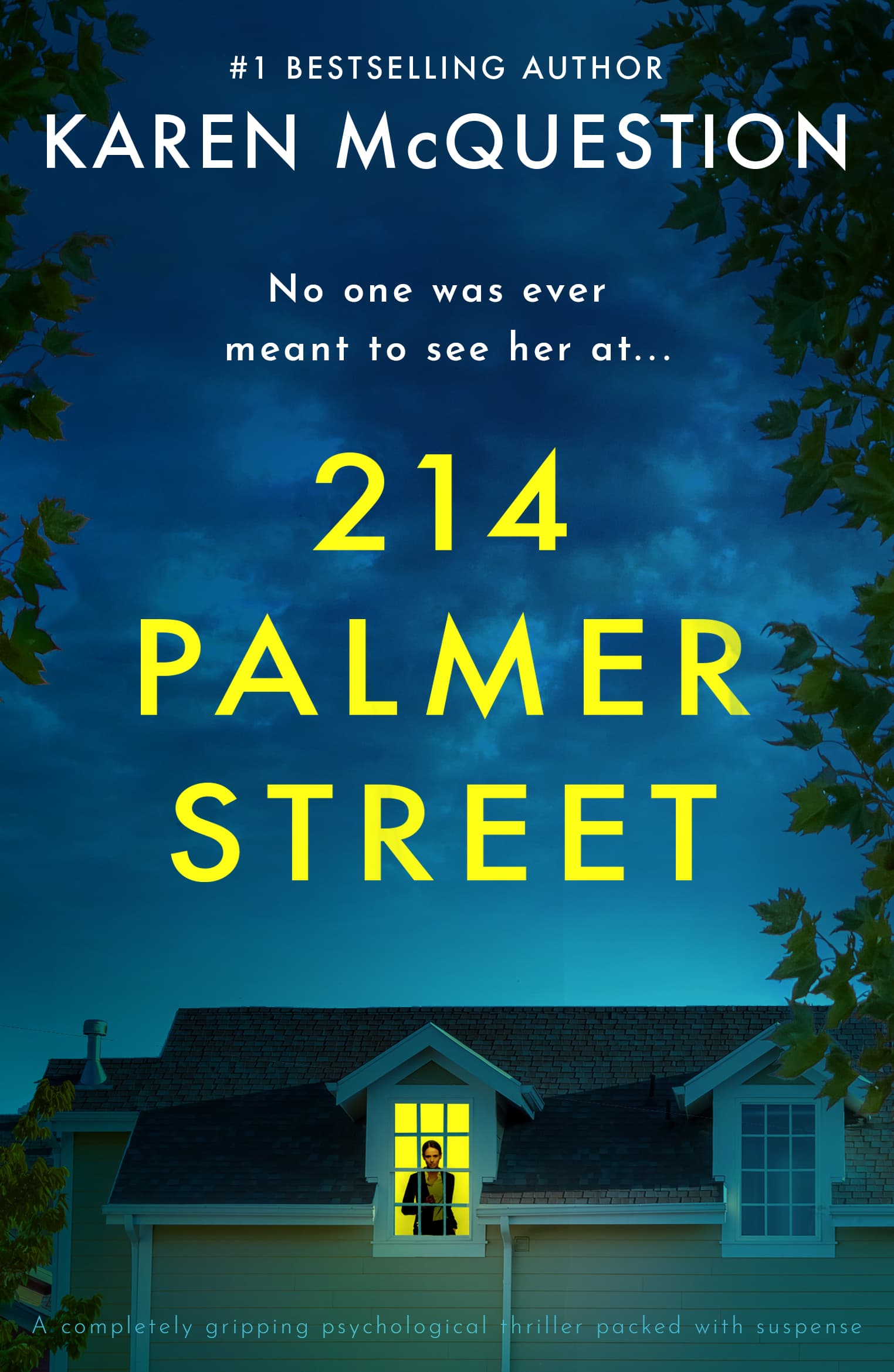 214 Palmer Street book cover