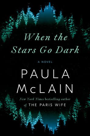 When the Stars Go Dark book cover