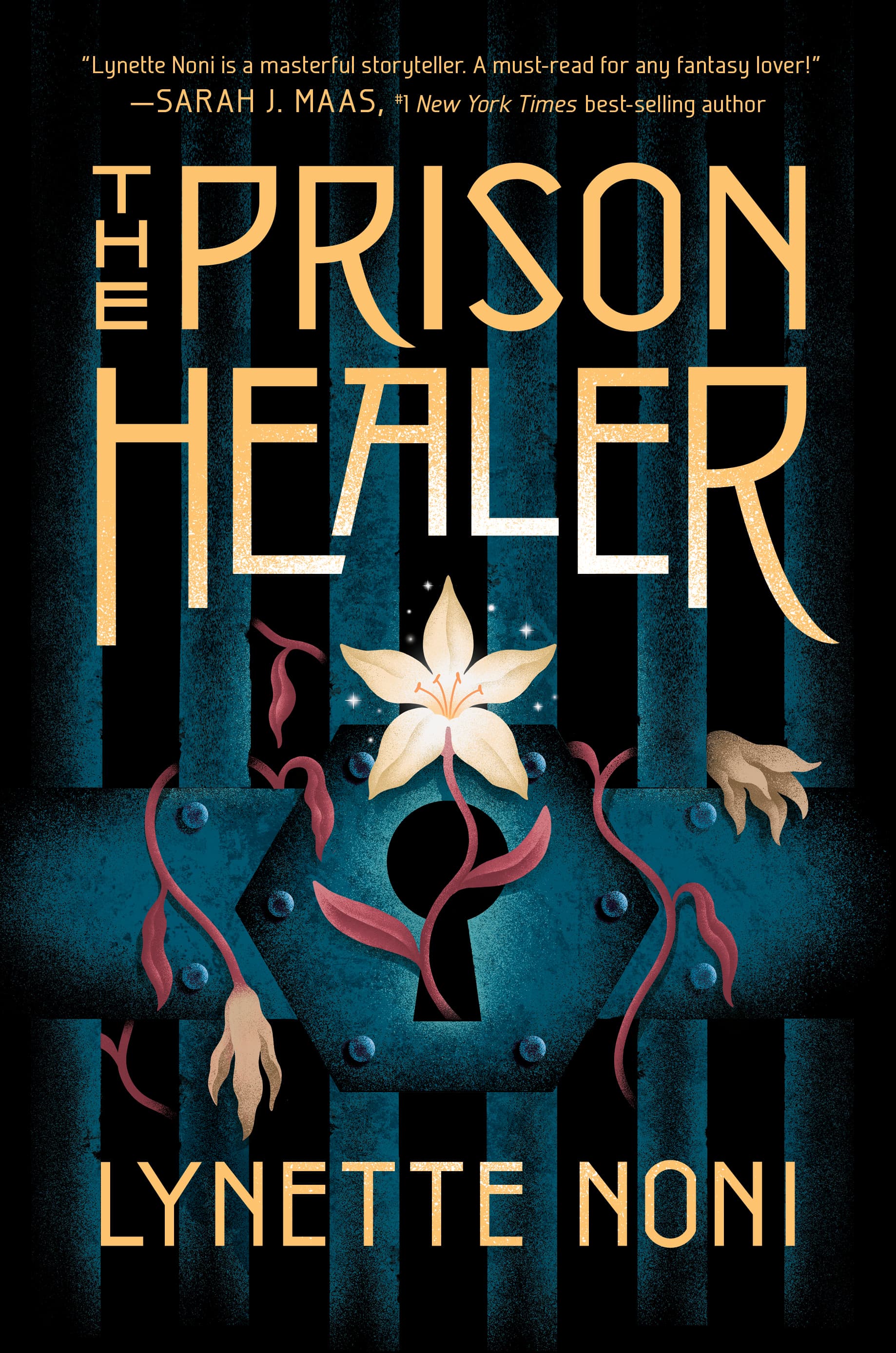 The Prison Healer book cover