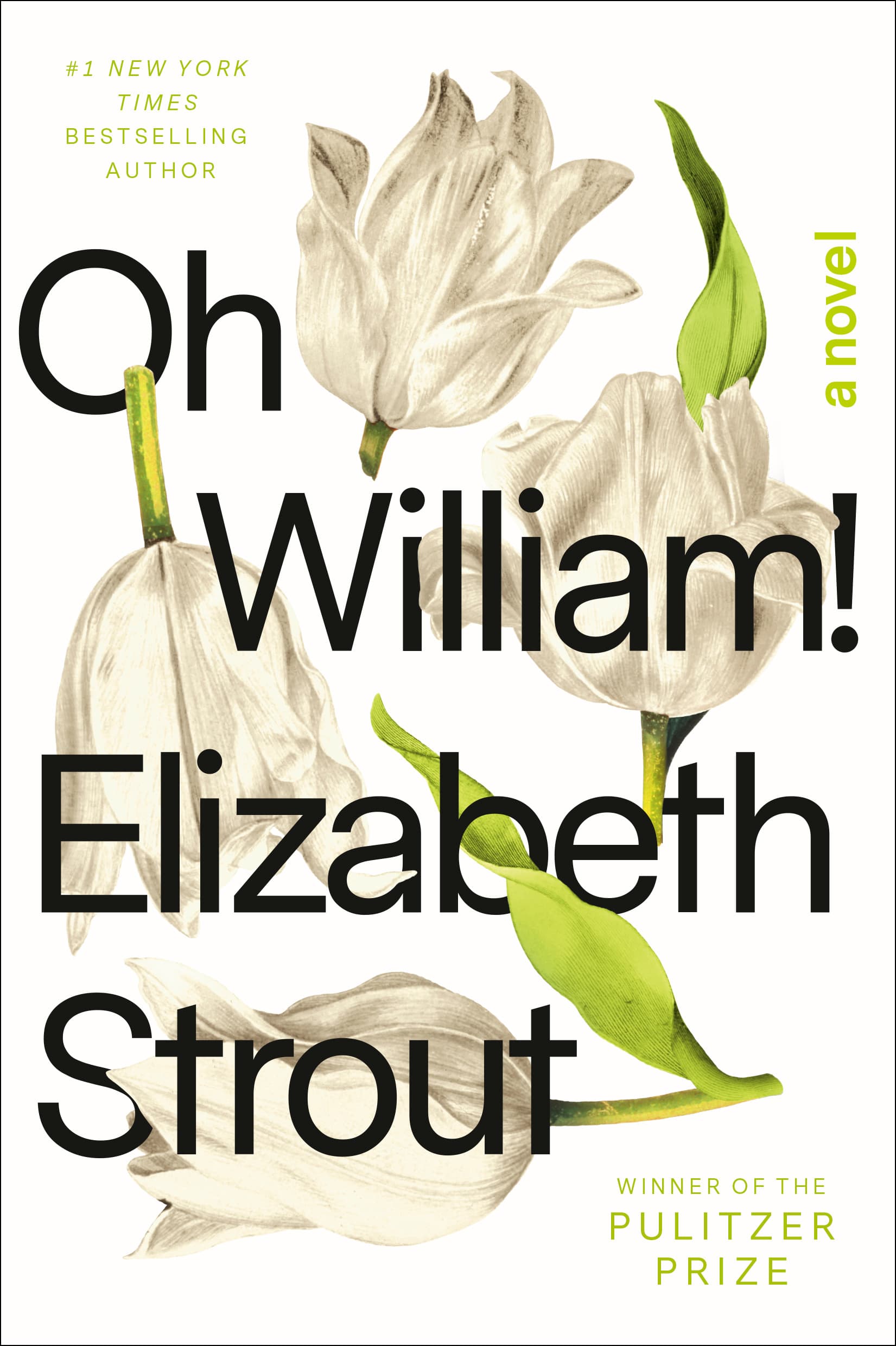 Oh William! book cover