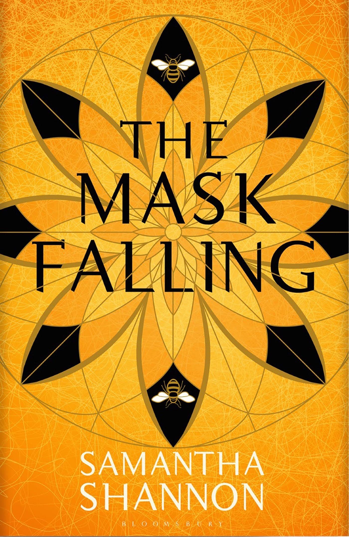 The Mask Falling book cover