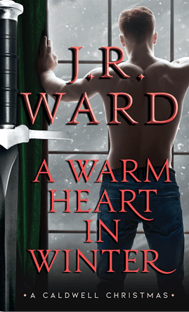 A Warm Heart in Winter book cover