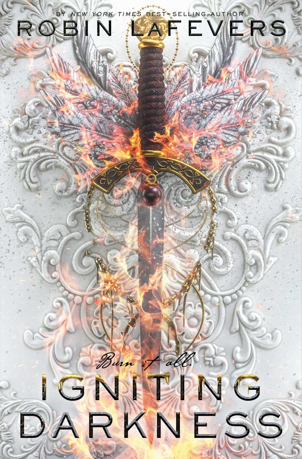 Igniting Darkness book cover