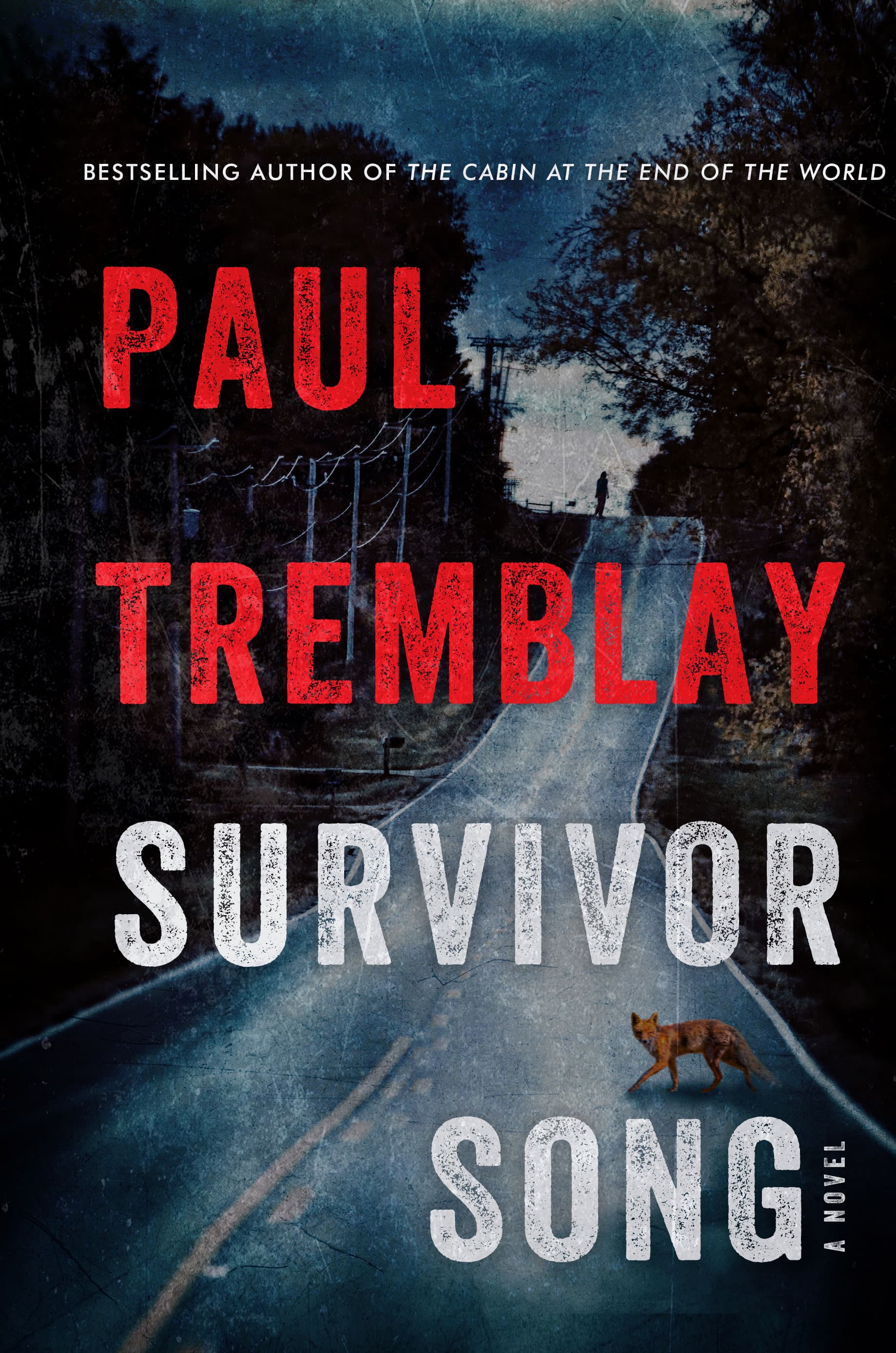 Survivor Song book cover