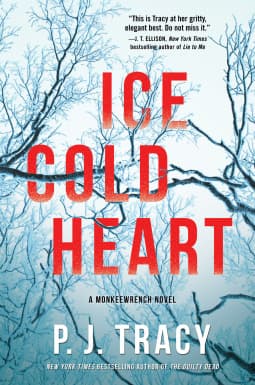 Ice Cold Heart book cover