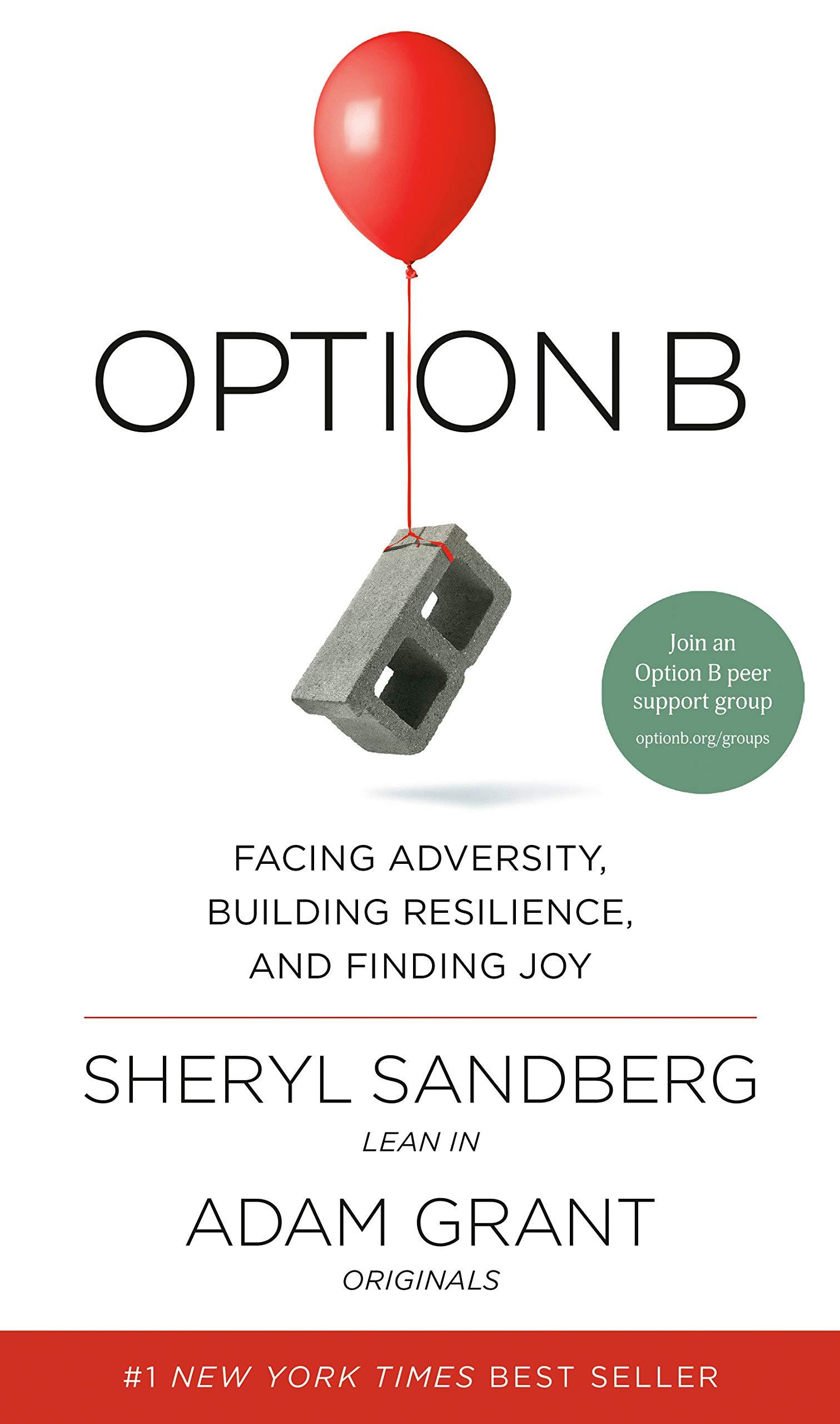 Option B: Facing Adversity, Building Resilience, and Finding Joy book cover