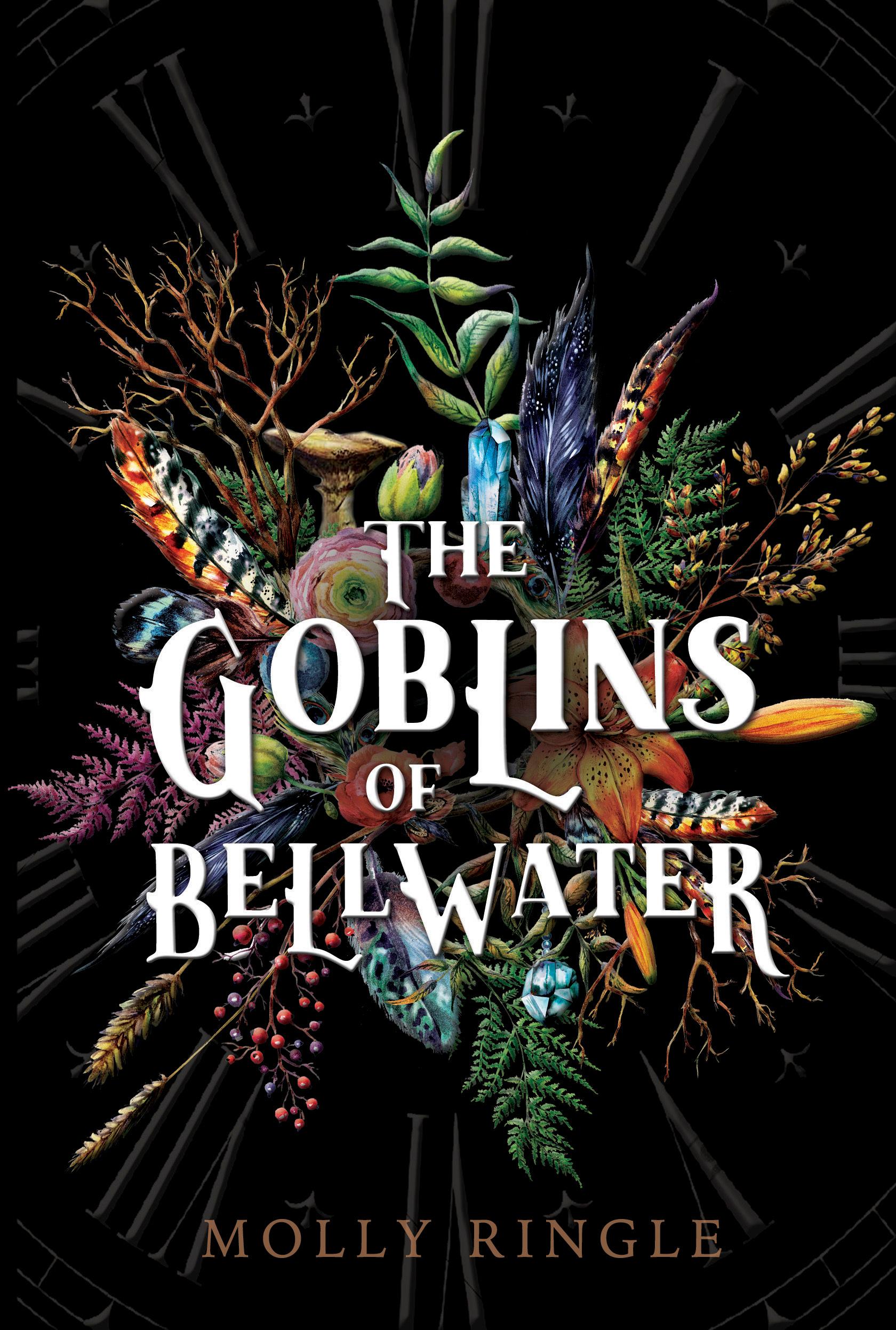 The Goblins of Bellwater book cover