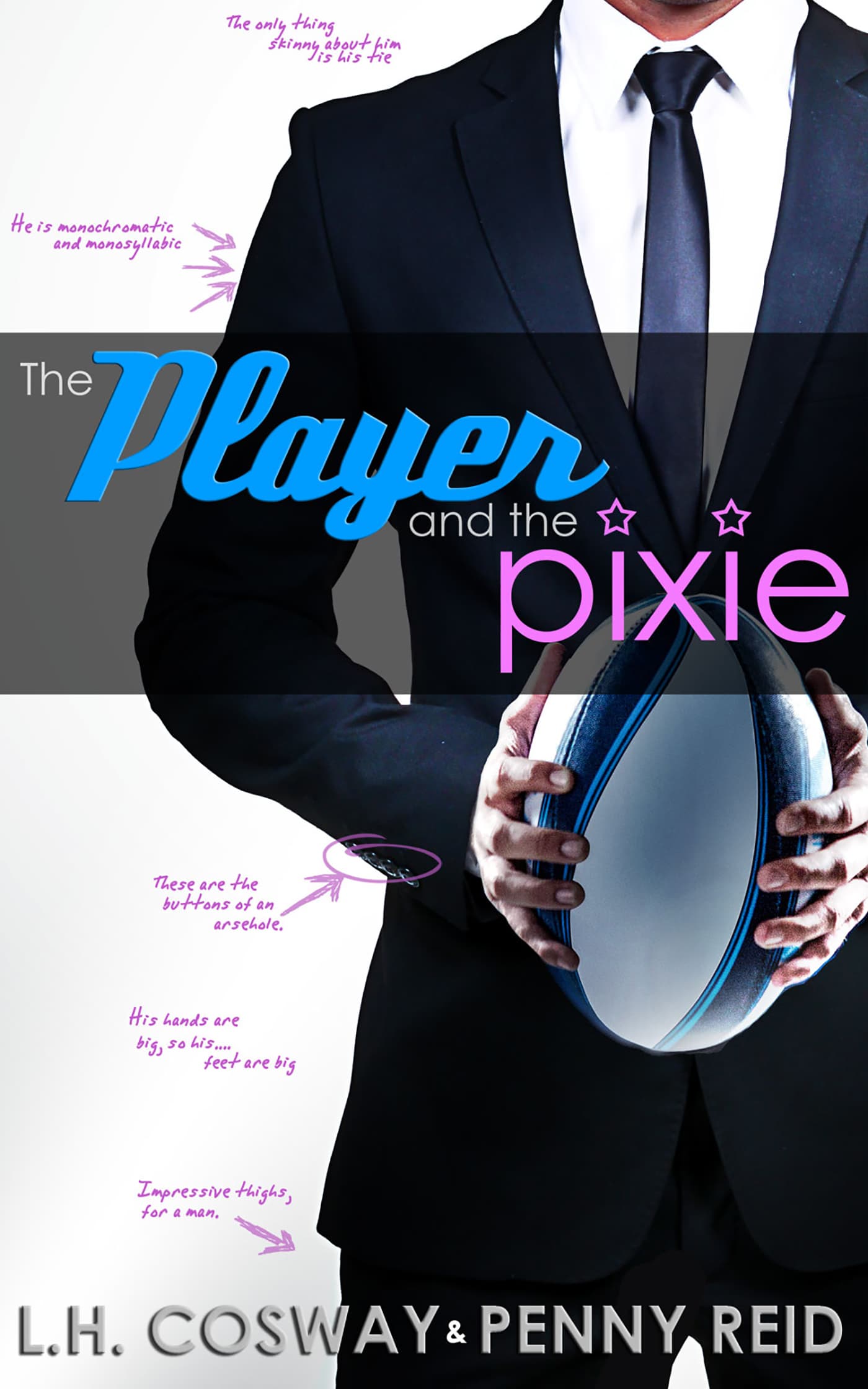 The Player and the Pixie book cover