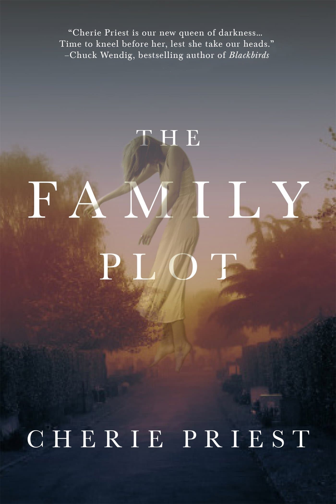 The Family Plot book cover